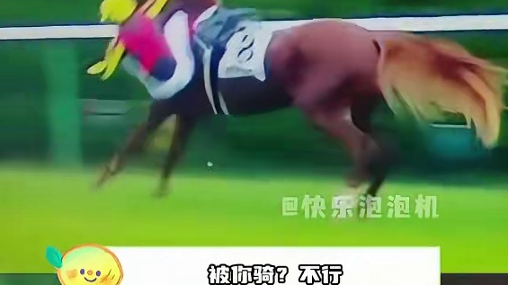 黄金家族不养闲人