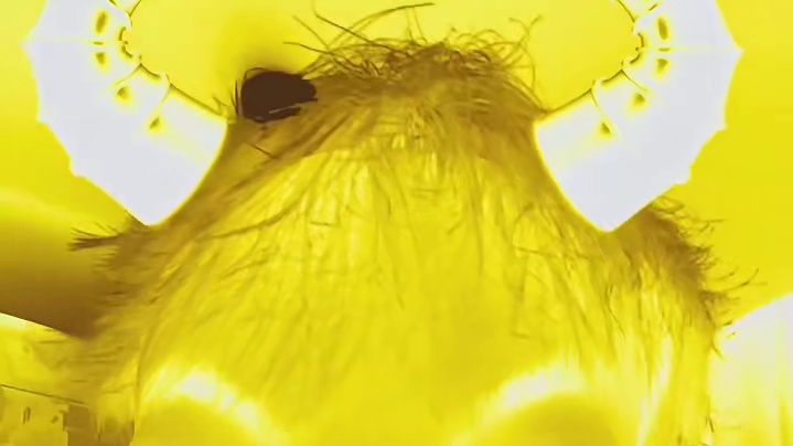 暴君降临大红行动