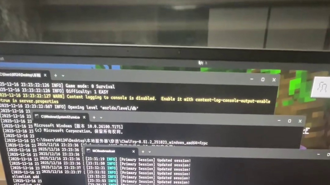 果然是活到老学到老啊！现在我不仅会搭服务器了，还会把switch链接到服务器上去了，赶紧奖励自己吃个..