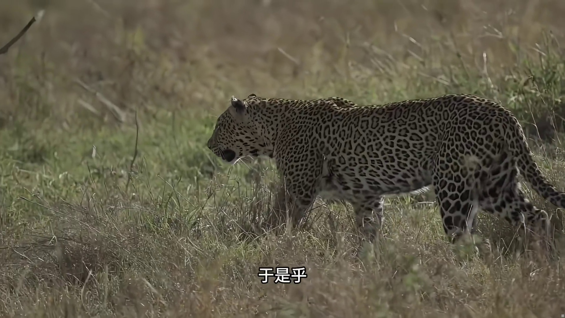 蓬某家门口的惨案