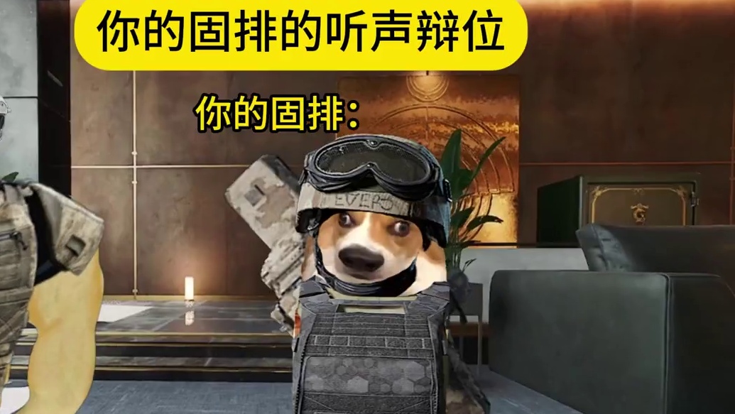 我的固排只会说有人有人....