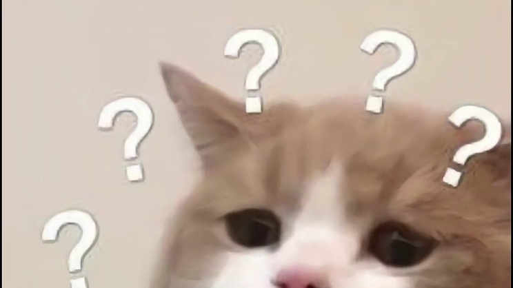 凛冬季玩法有隐藏BUG，手艺经验被吞，张博，快进来看下！