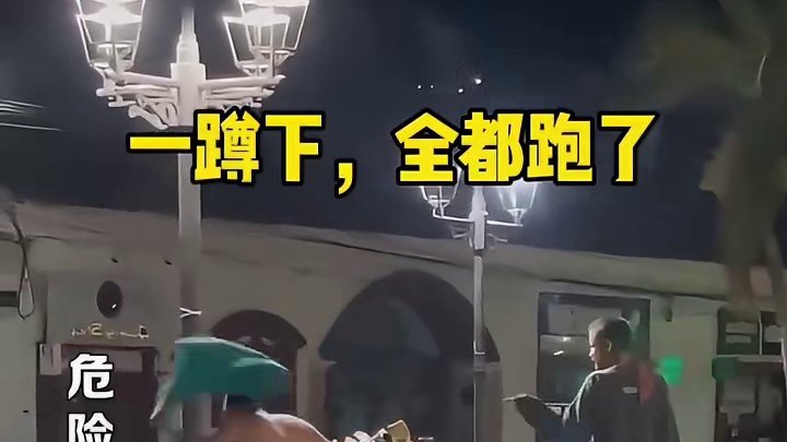 一蹲下，全都跑了