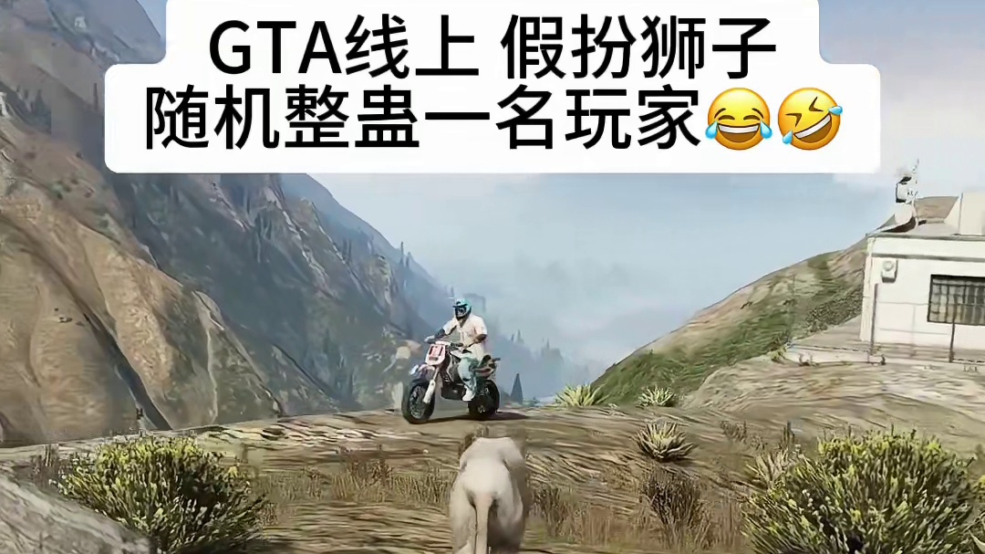 GTA线上假扮狮子随机整蛊玩家