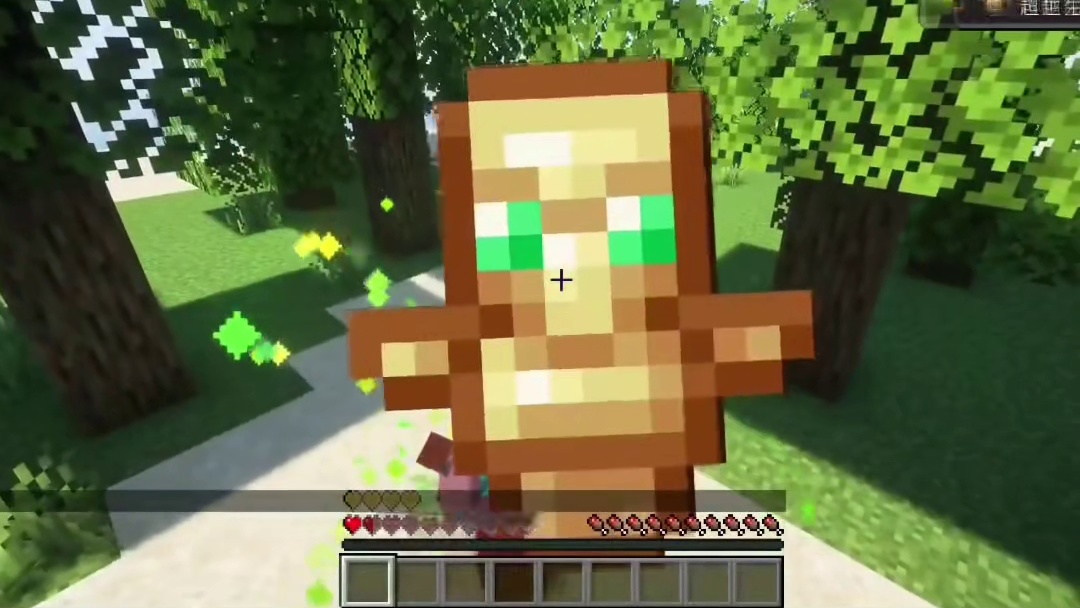 我向众神祈祷，回应我的只有不死图腾