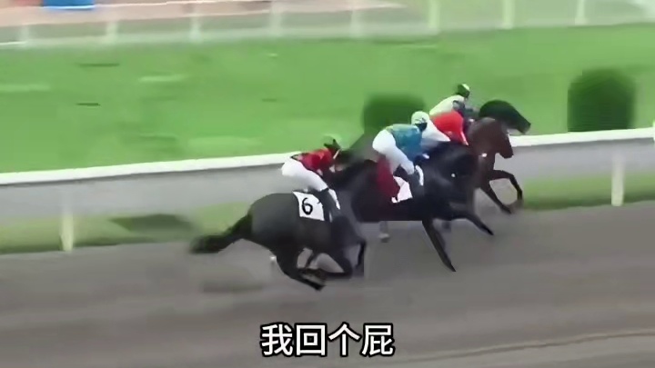 一点团队精神都没有