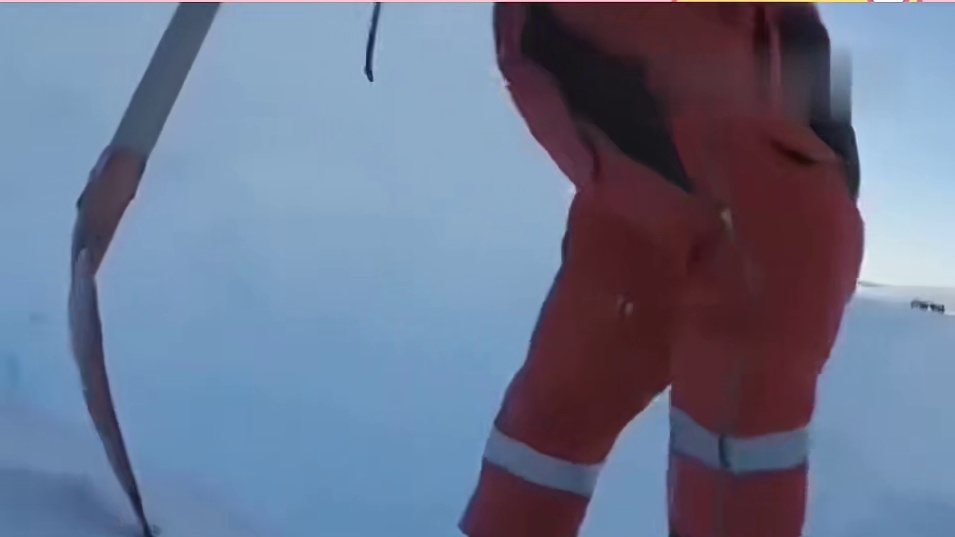 原则上人类不能插手，可谁能忍心不救呢