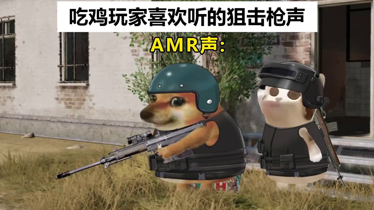 吃鸡玩家喜欢听到的狙击声