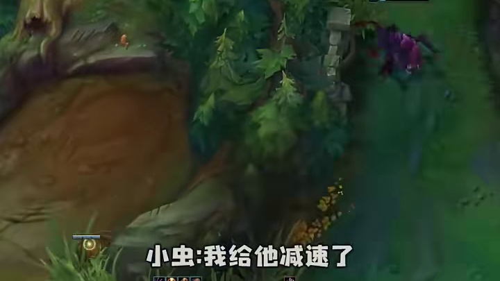 没有错就是我选的