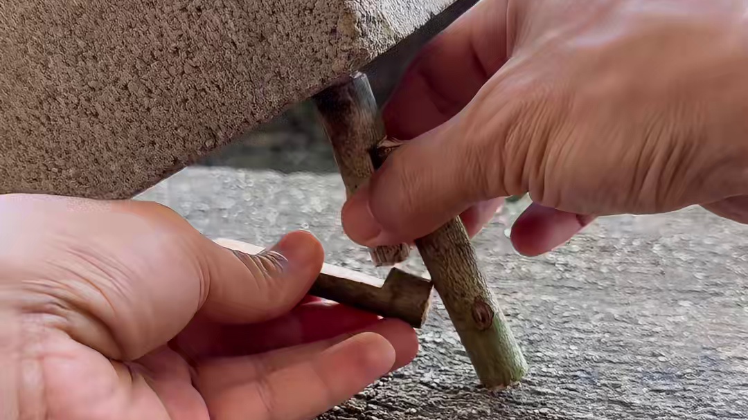 老祖宗流传下来的三木落石机关