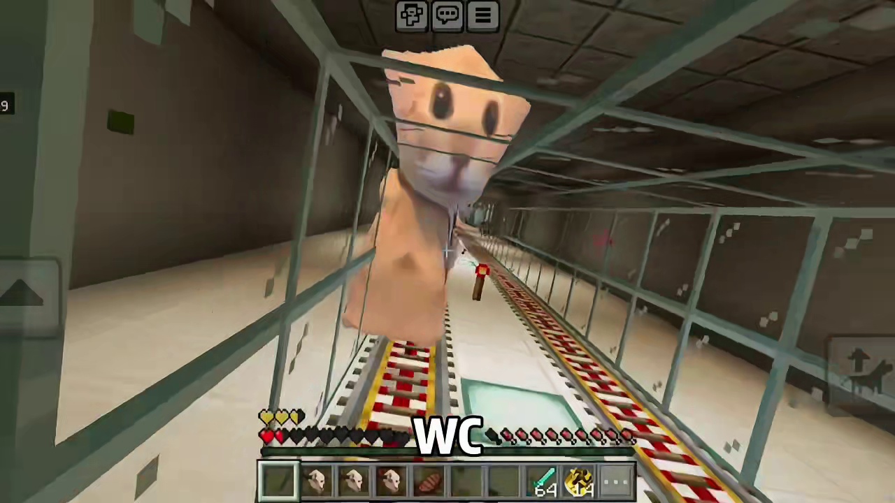 今天我们逃离一百个挖鼻孔的猫