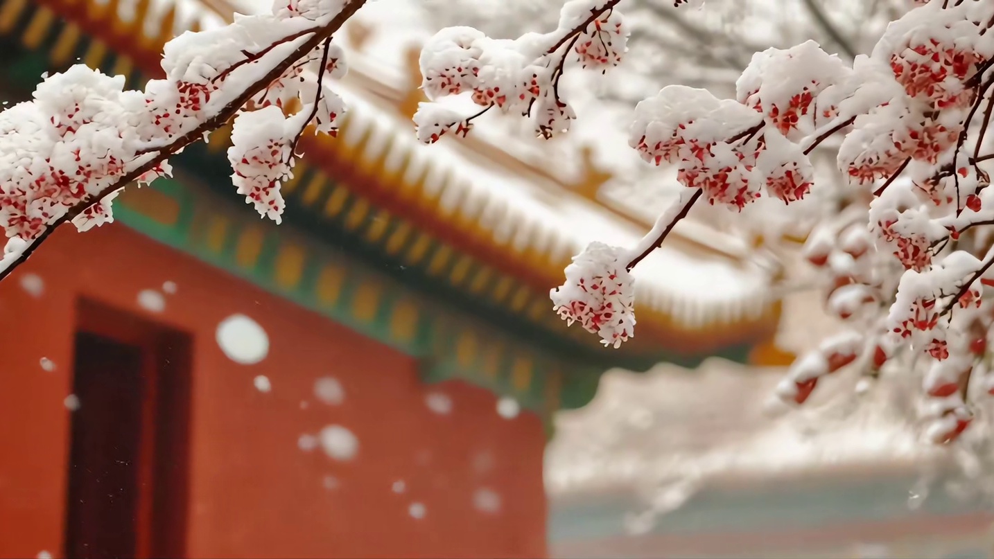 2026“冰雪春天” 踏雪飞腾，共赴春天