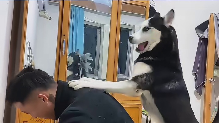 狗：我的手好像有点死了