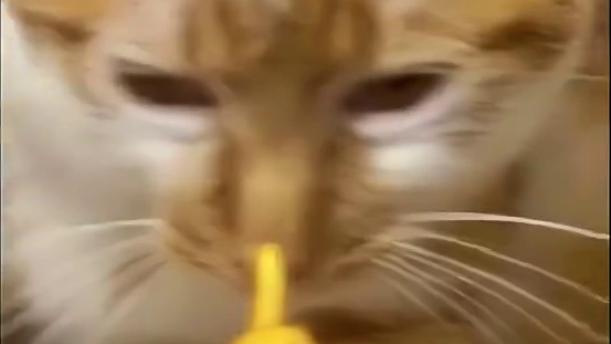 鹅鸭杀刀人小技巧，直接carry全场！