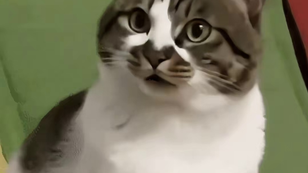 识时务者为俊杰！