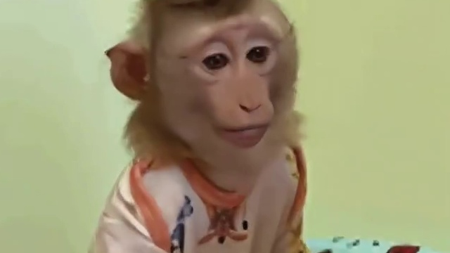 地主家的傻儿子和只想活着的白莲花