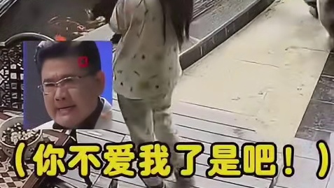 连狗都受不了的冷暴力