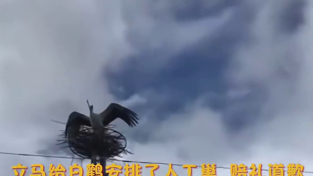 有什么是比亲眼目睹家被拆更崩溃的事情呢