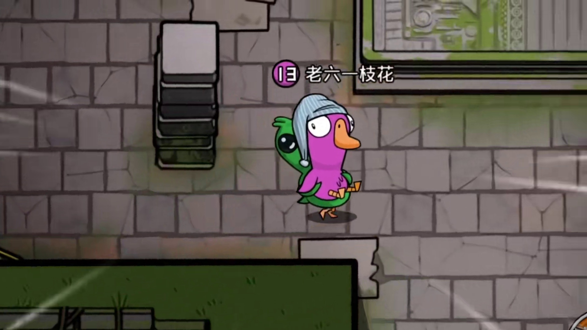 鹈鹕千万别乱吃东西！