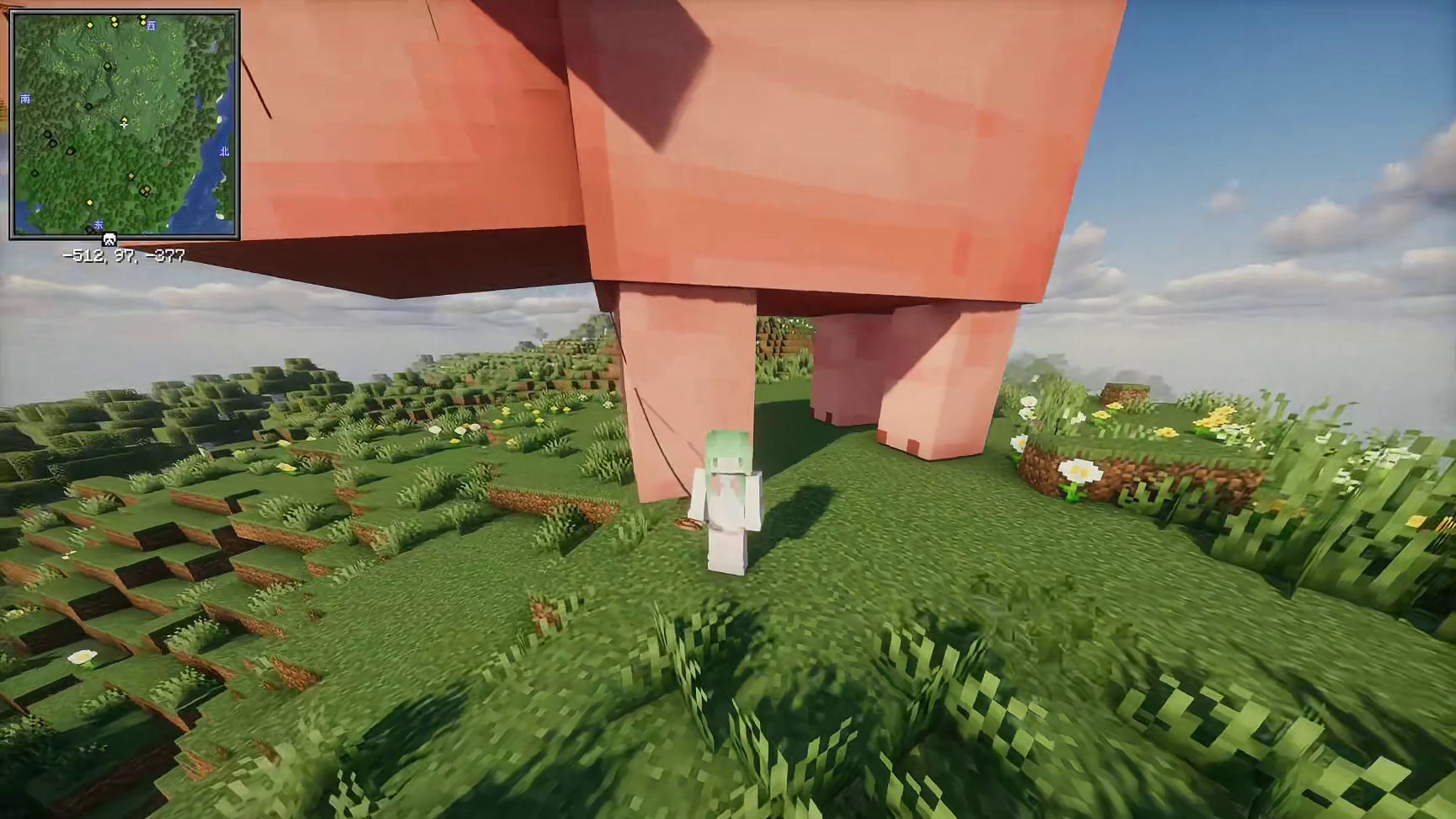 看不看我的新宠物？