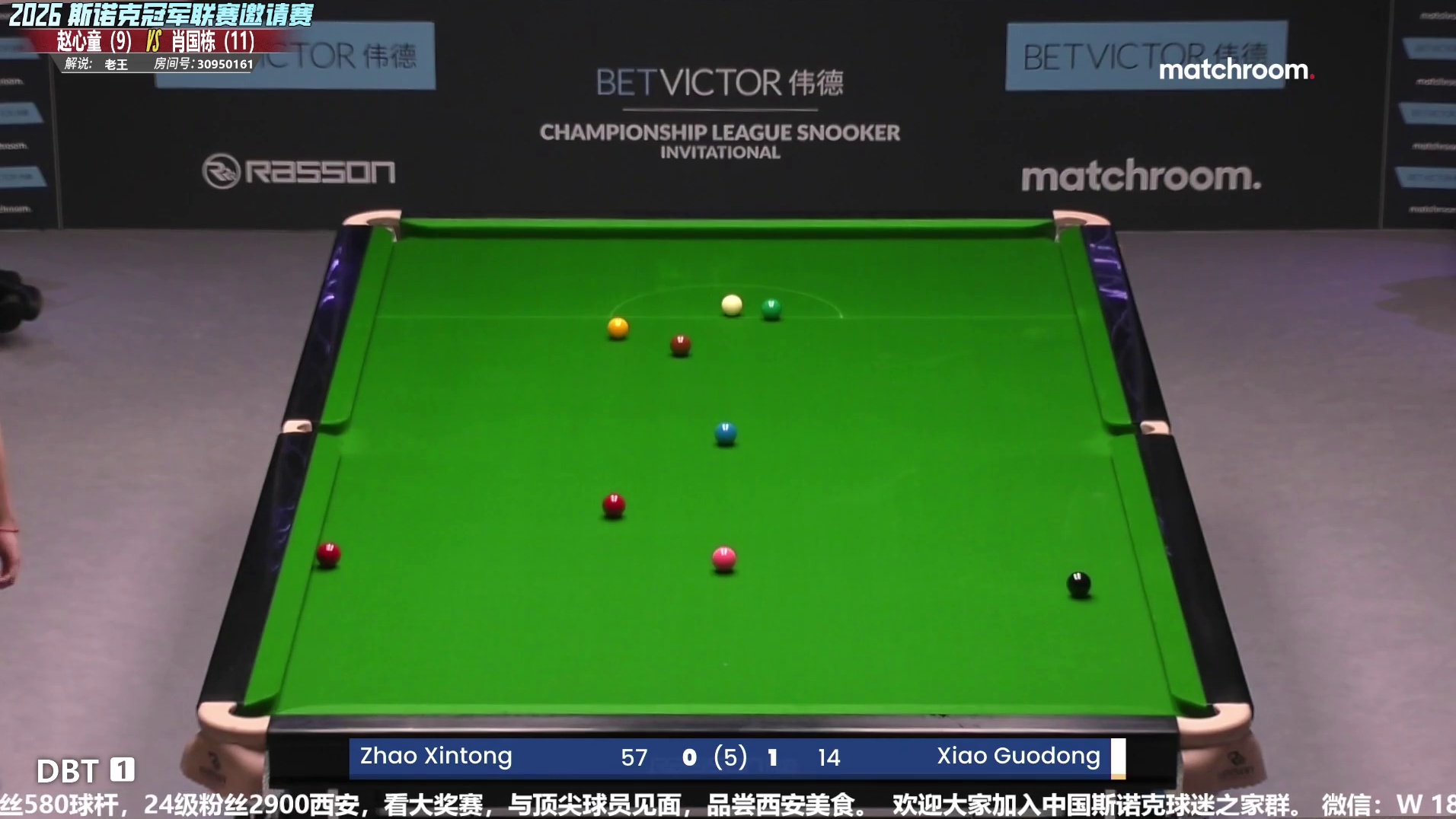 赵心童vs肖国栋  冠军联赛 第5组-下