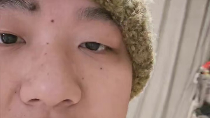 武汉本地猫猫寄养