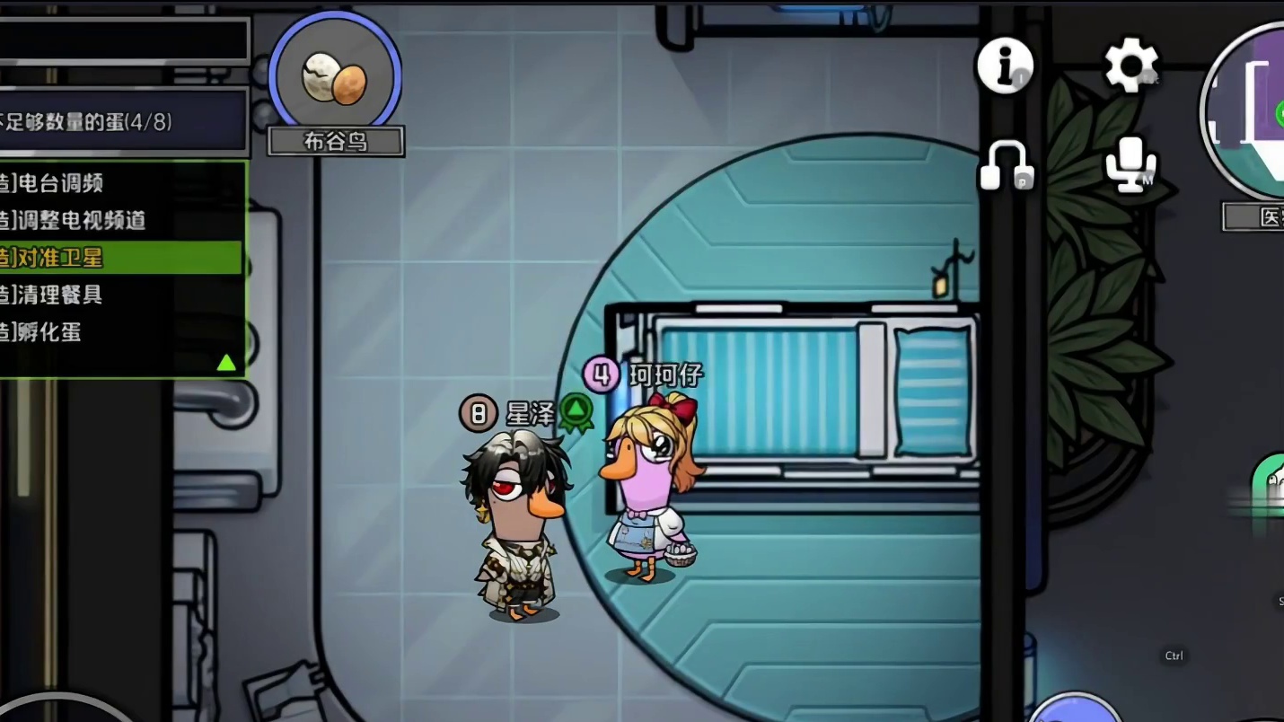 我玩布谷鸟就这样