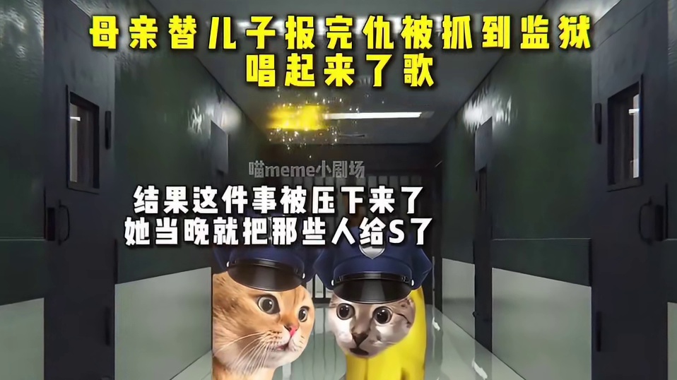 母亲替儿子报完仇被抓到监狱唱起了歌