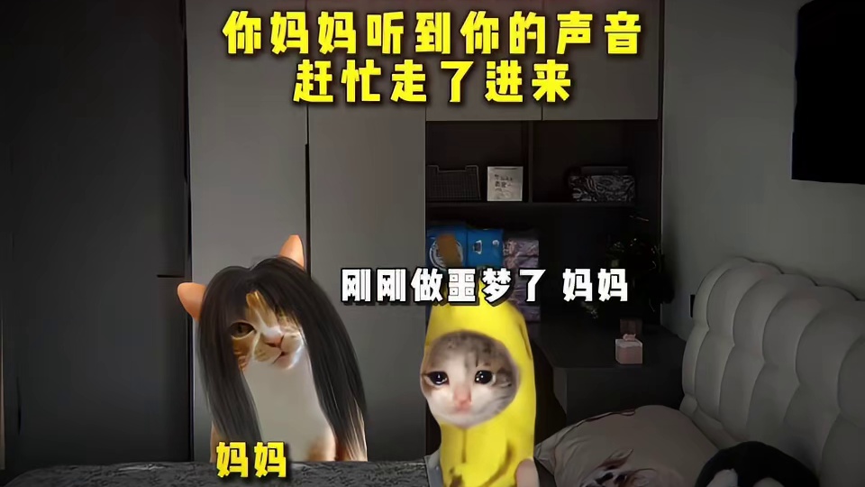 你。。。看懂了吗。。。