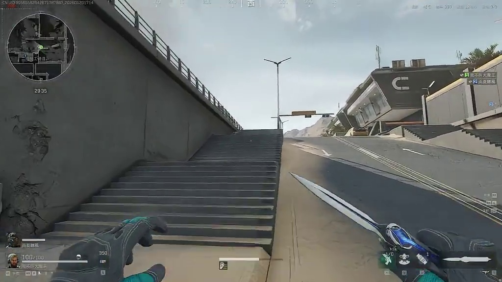 肥肥的包好吃…