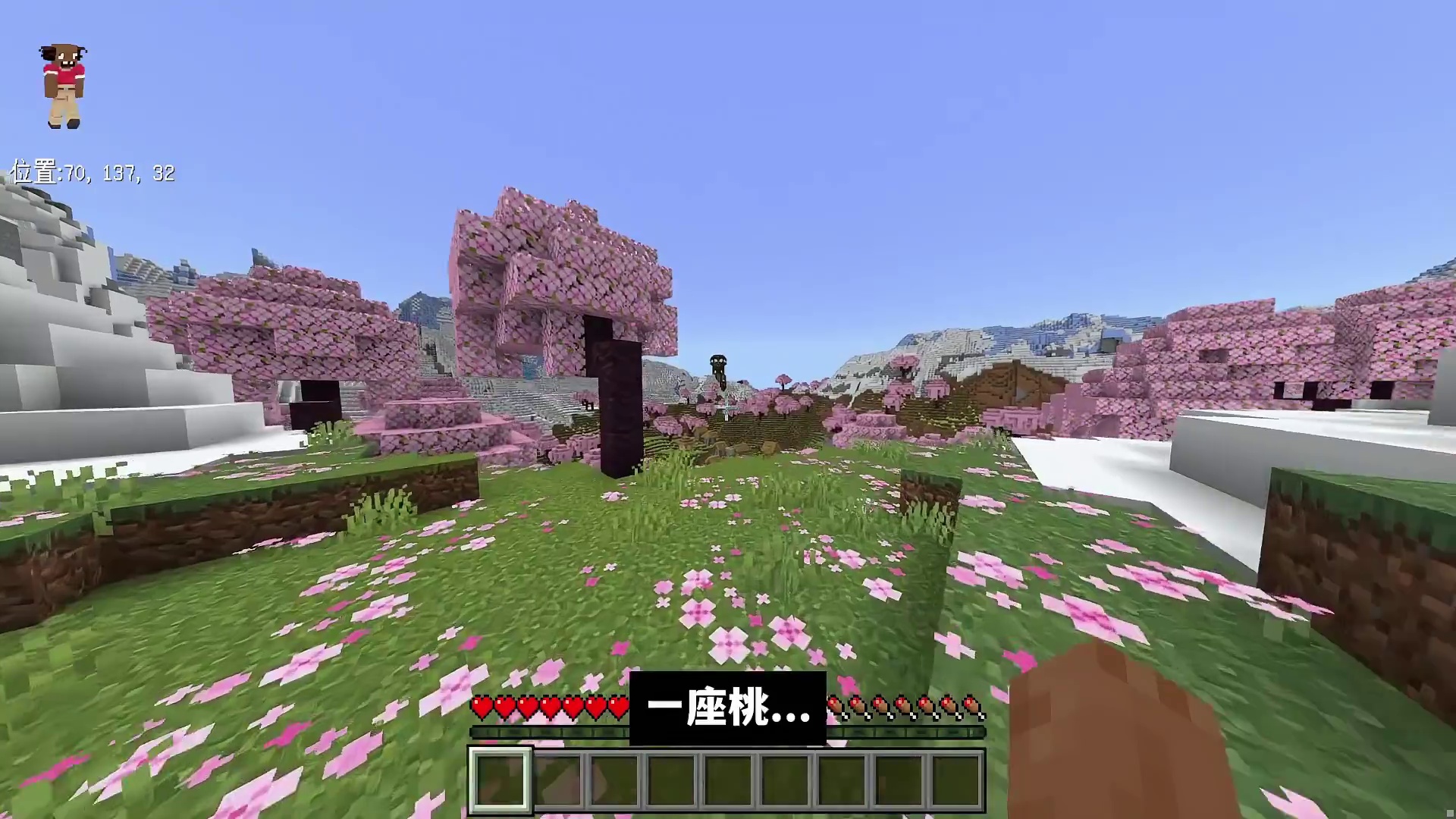 我的世界：这才是真正的宝藏村庄！不仅风景如画还物资丰富！