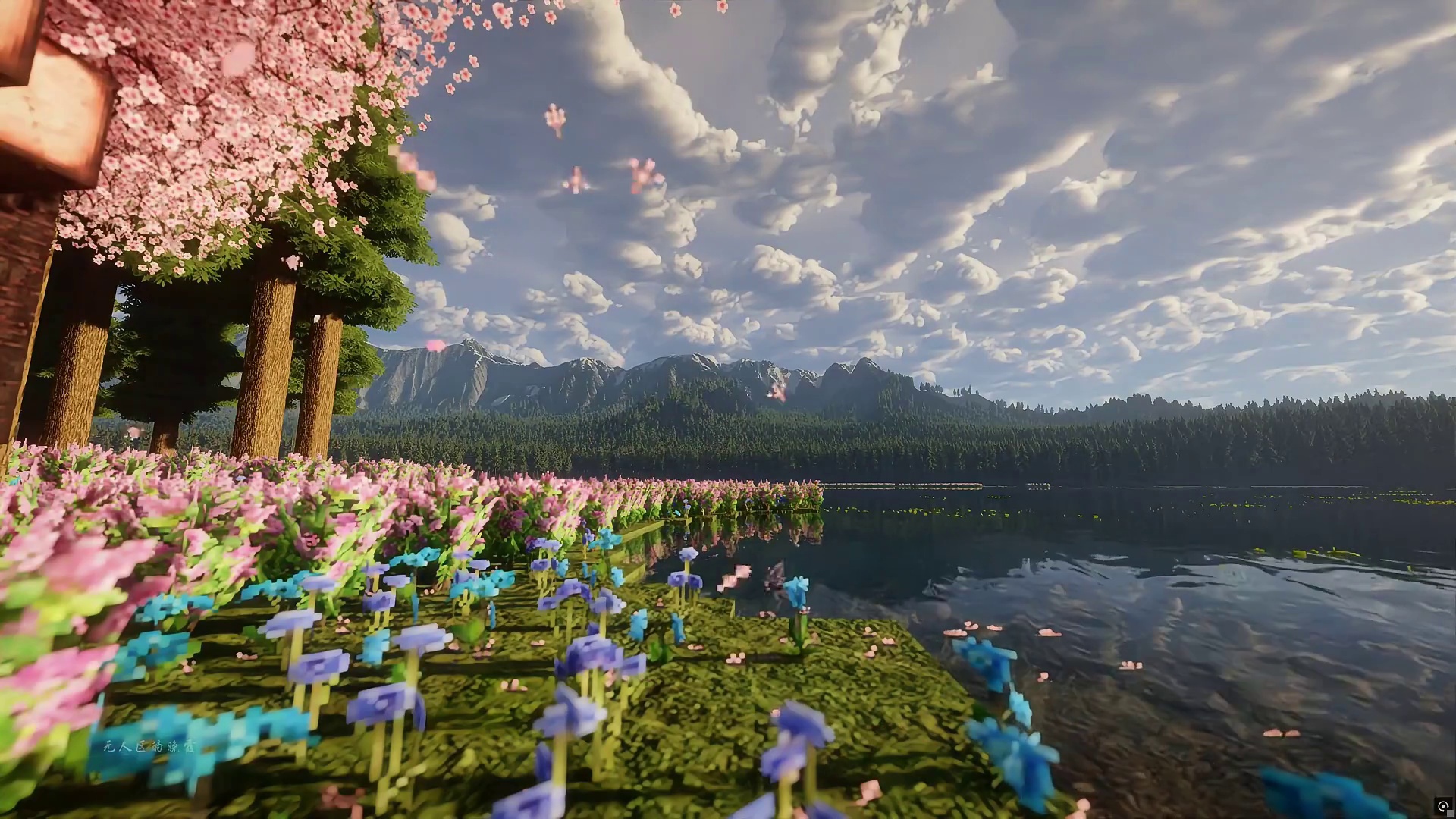 是回忆加了分 其实当时也没有多幸福