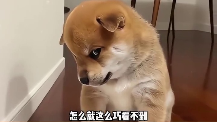 我们都以为对方没回头