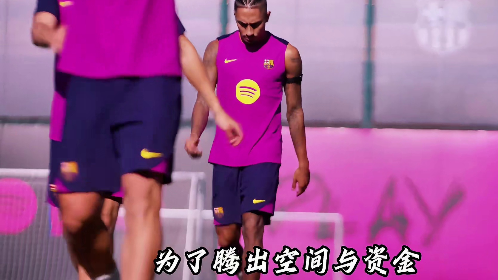 遭冷落的拉菲尼亚