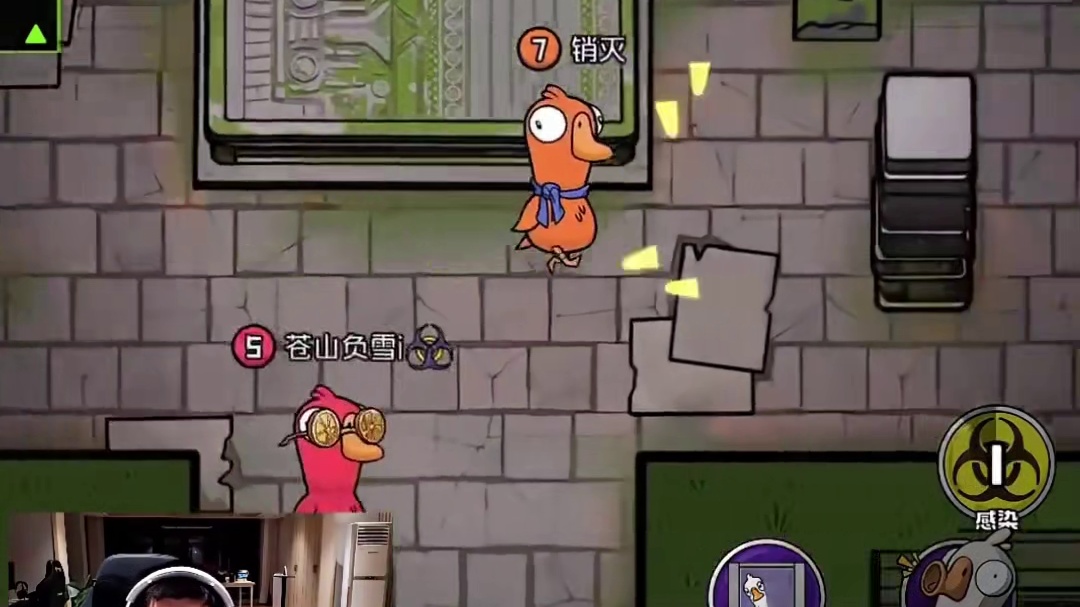 当一只强势的鸽鸽强势带队