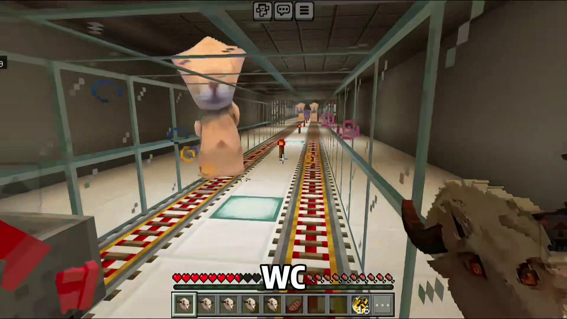 今天我们逃离一百个鼻孔猫也是 表弟视角