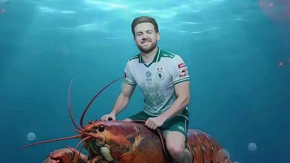 导播官方整活niko大虾