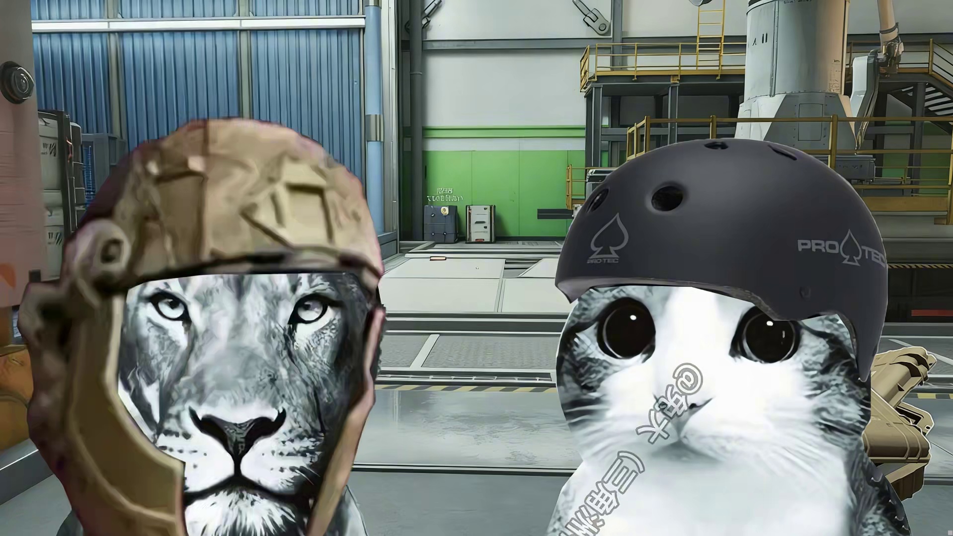 防吃包功能防不住一个真正想吃包的人