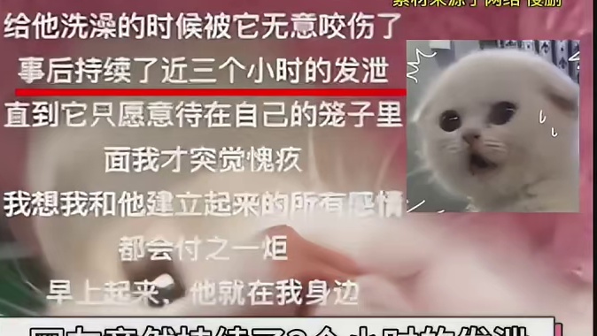 姐妹：惹到我你算是踢到棉花啦