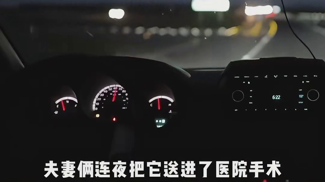 也许这就是互联网的意义吧