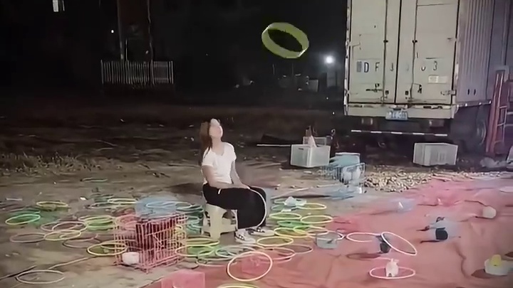 输得心不甘情不愿的