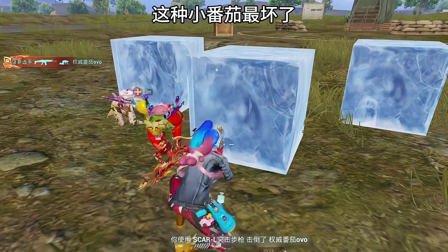 这种小番茄太坏了，把我掩体都推走了！！气死我了