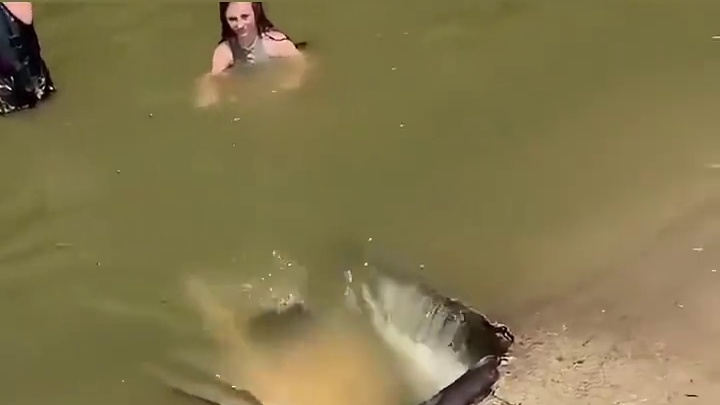 国外的人真会玩