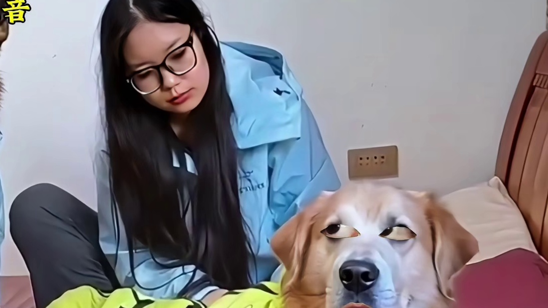 金毛：我这次是真的心寒了