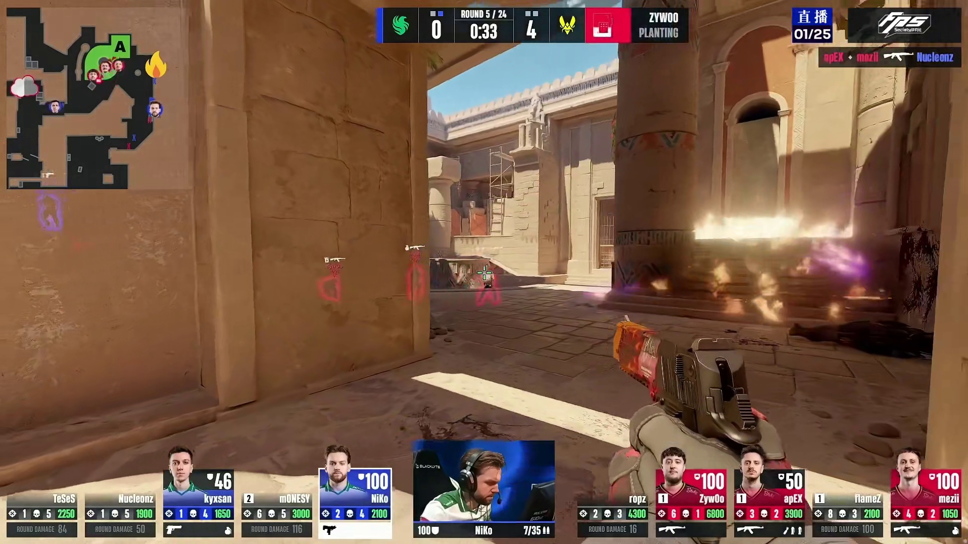 NiKo经典背身沙鹰