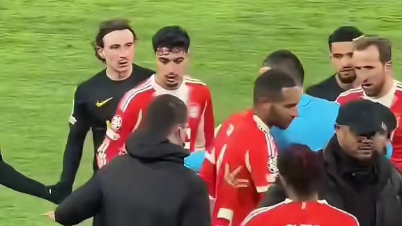 孔帕尼保护奥利塞