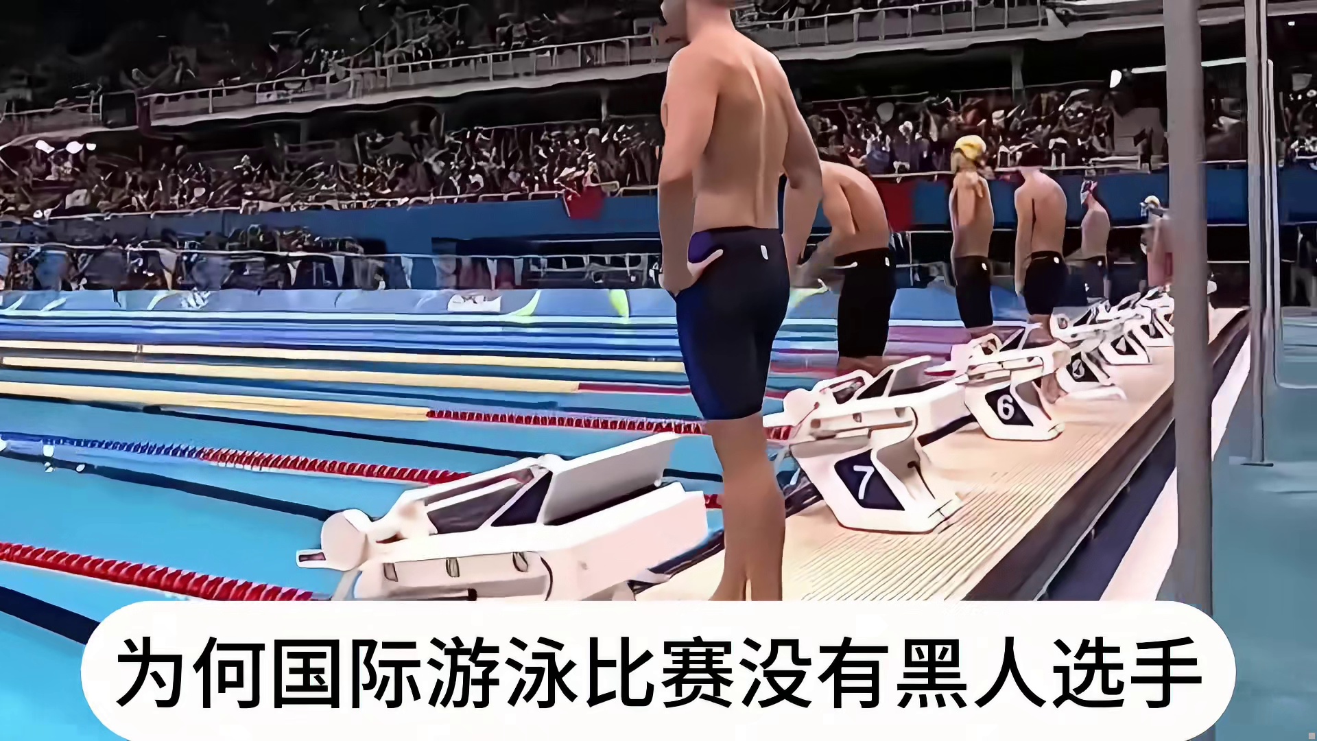 骆驼驼峰里面是什么