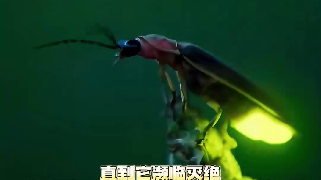 原来和我们一同消散在时光里的，不只有童年