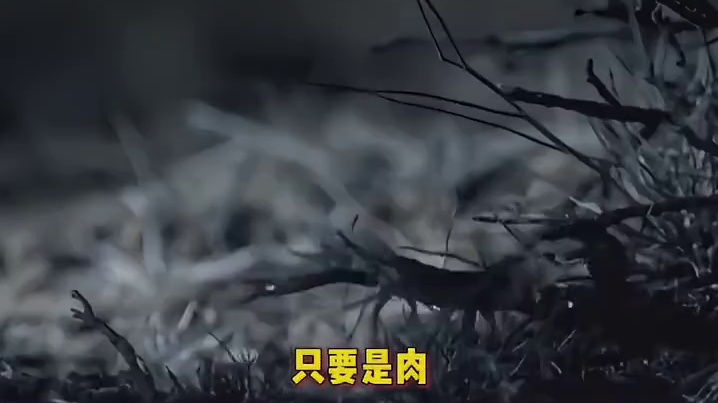 宝宝你真的是又可爱又凶