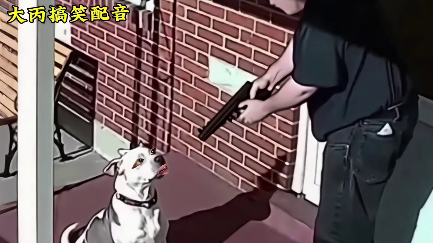 狗：哥，把我当个屁放了吧